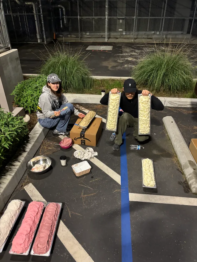 Project image