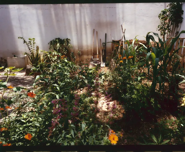 Project image