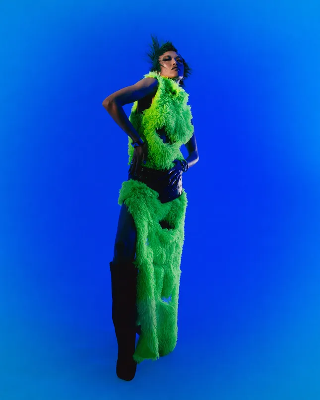 Project image
