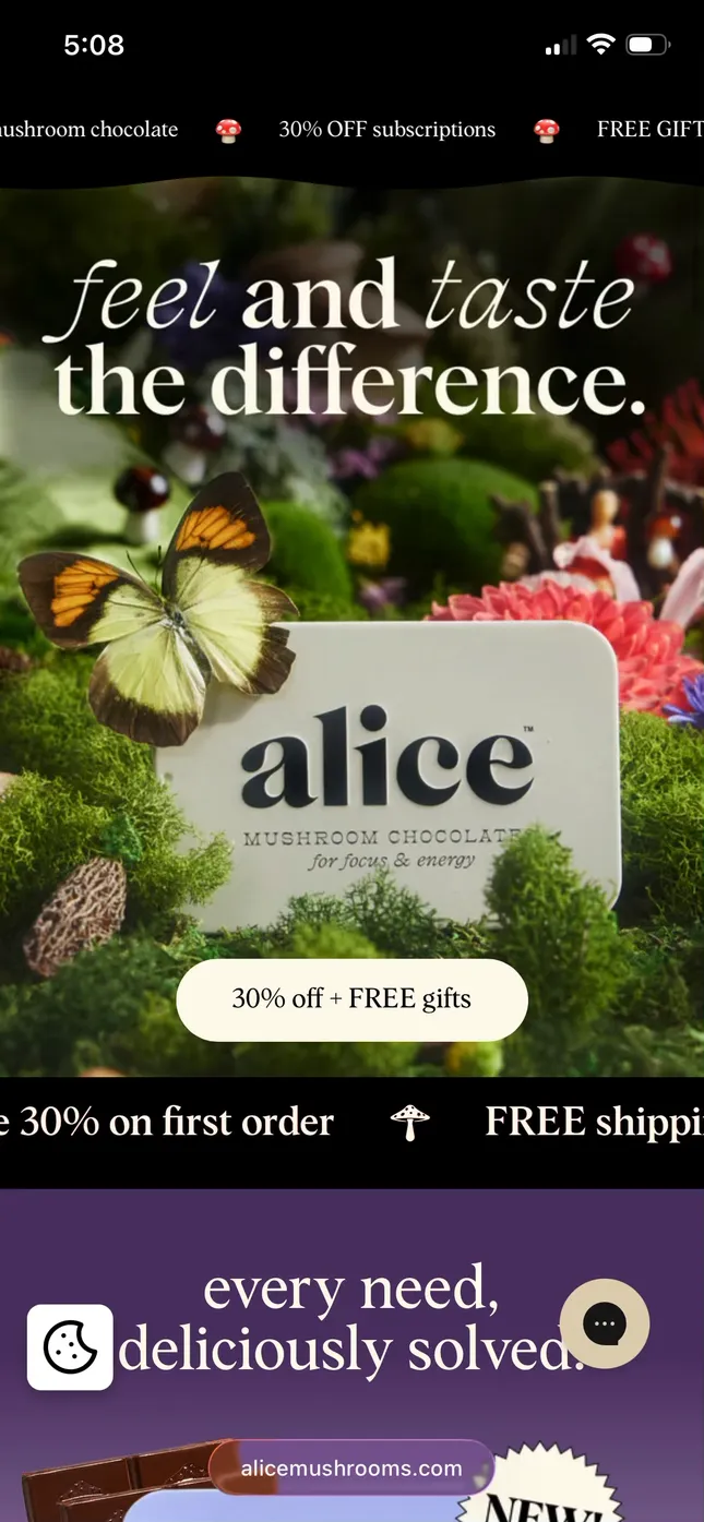 Alice Mushrooms - Website design
