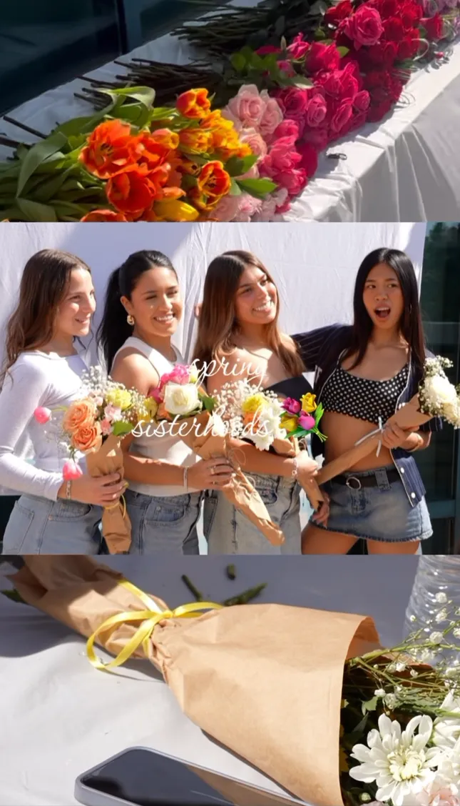 Pi Beta Phi IG Reel