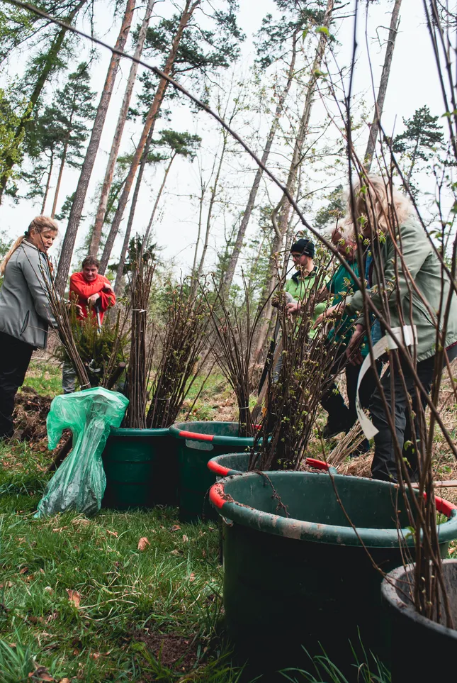 500 trees for the Eisenach city forest – 2022