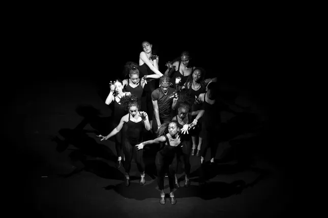 DADA - 2026 Performance