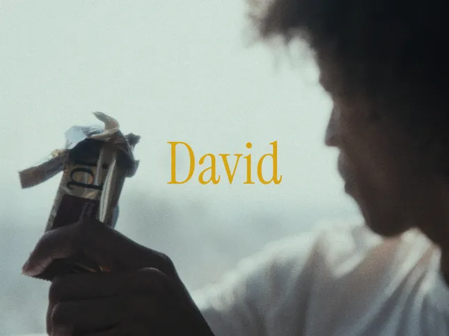 David Protein