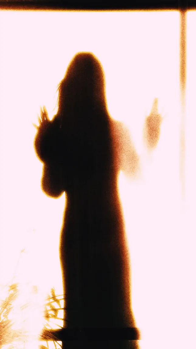 Palm Shadow - Promo