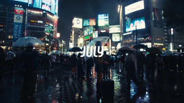 July Suitcases