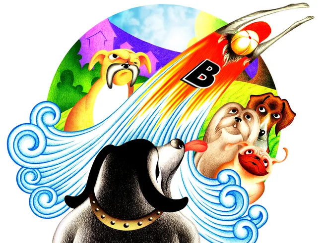 Project image