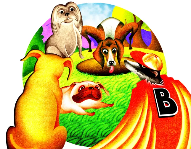 Project image