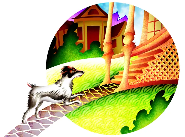Project image