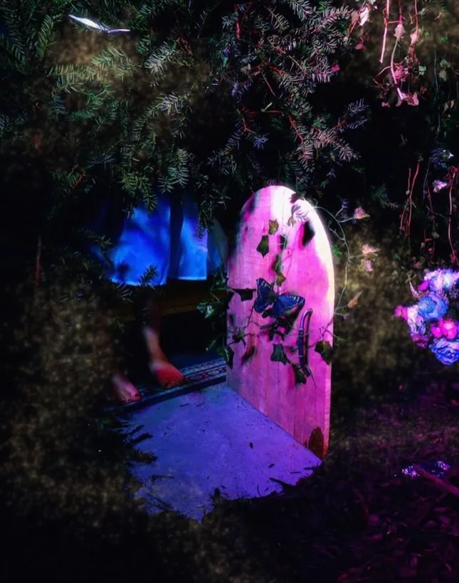 Wonderland