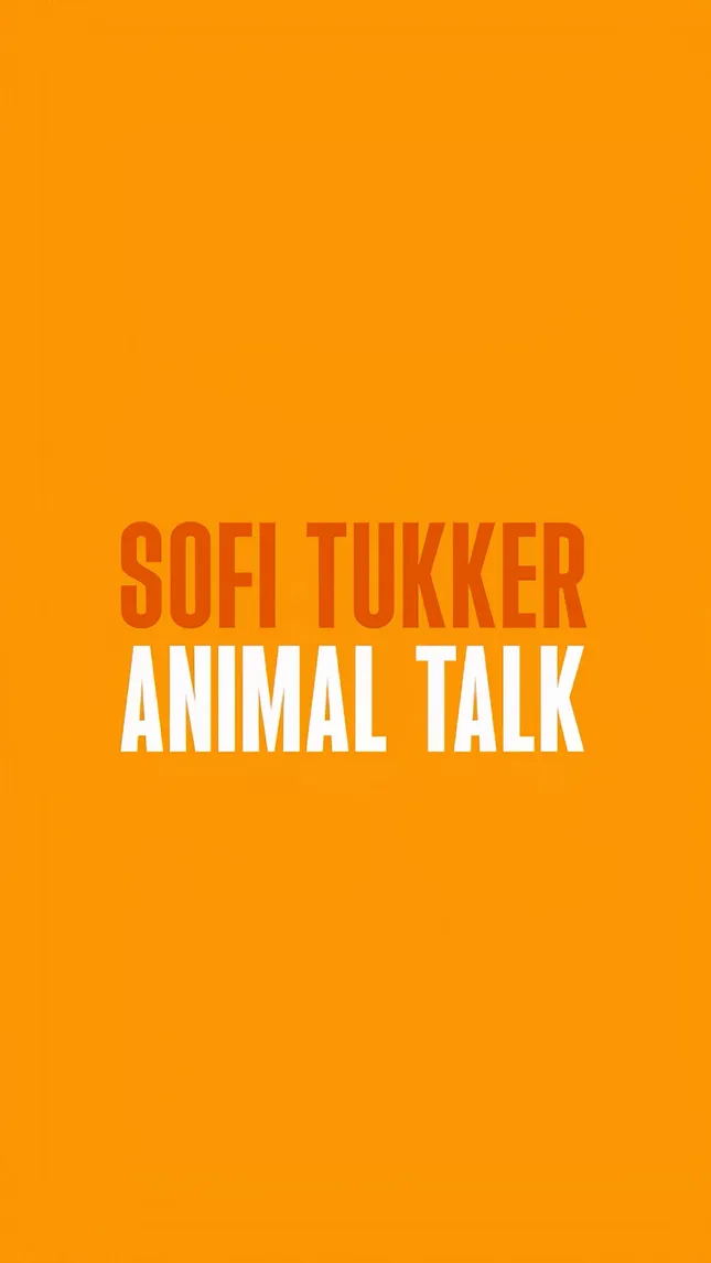 Sofi Tukker Event Promo