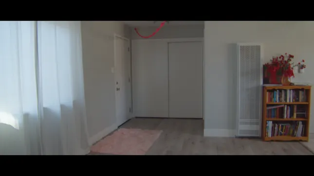 Suprise