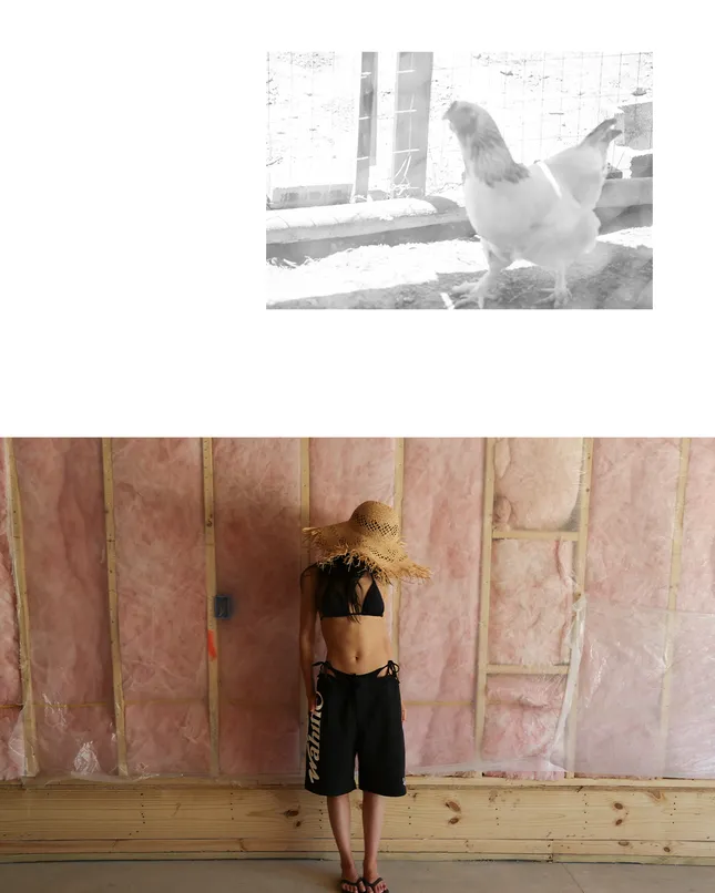 Project image