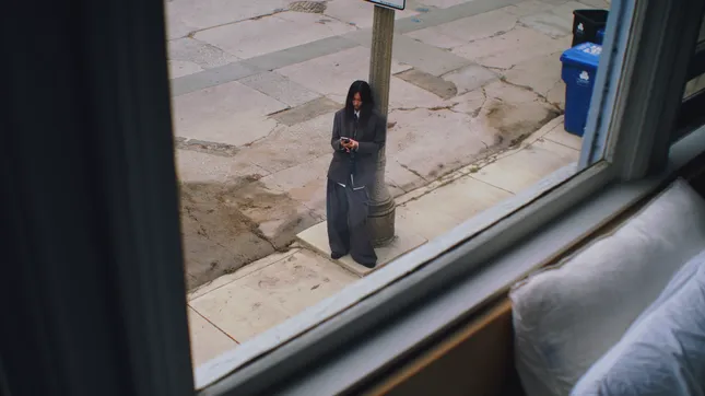 The Window