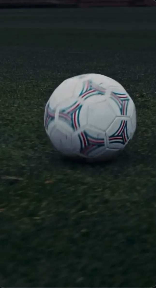 FIFA WORLD CUP X FRISKIES CAMPAIGN
