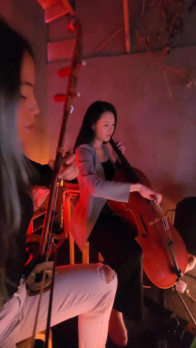 Live cinematic strings show - violin, cello & erhu