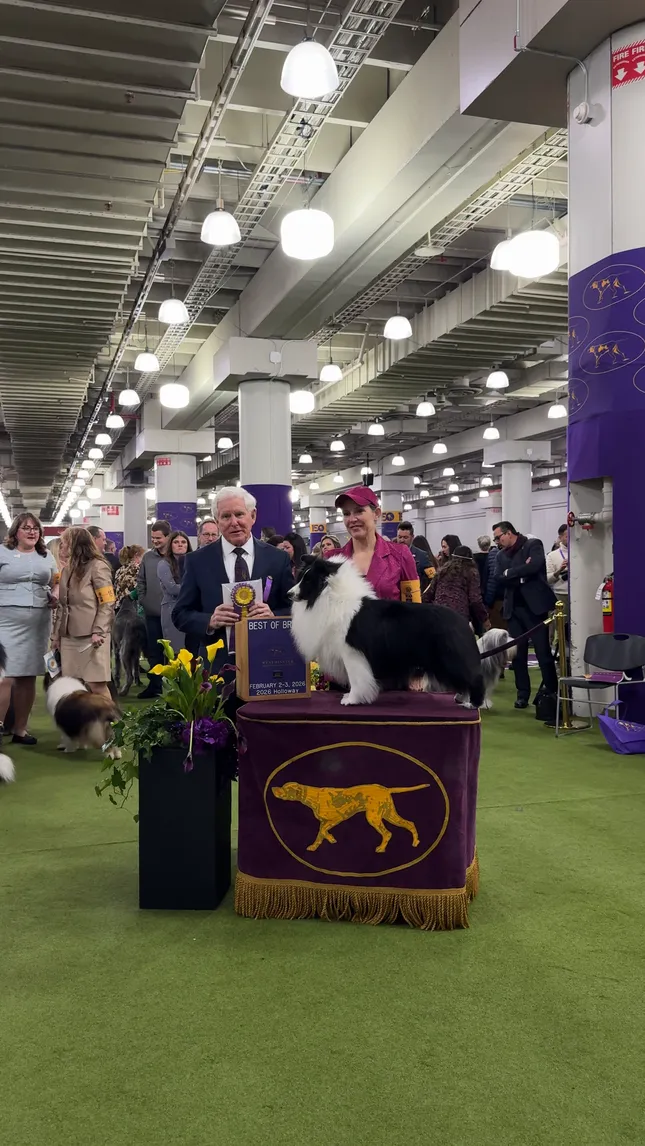 Westminster Kennel Club - 150th Dog Show