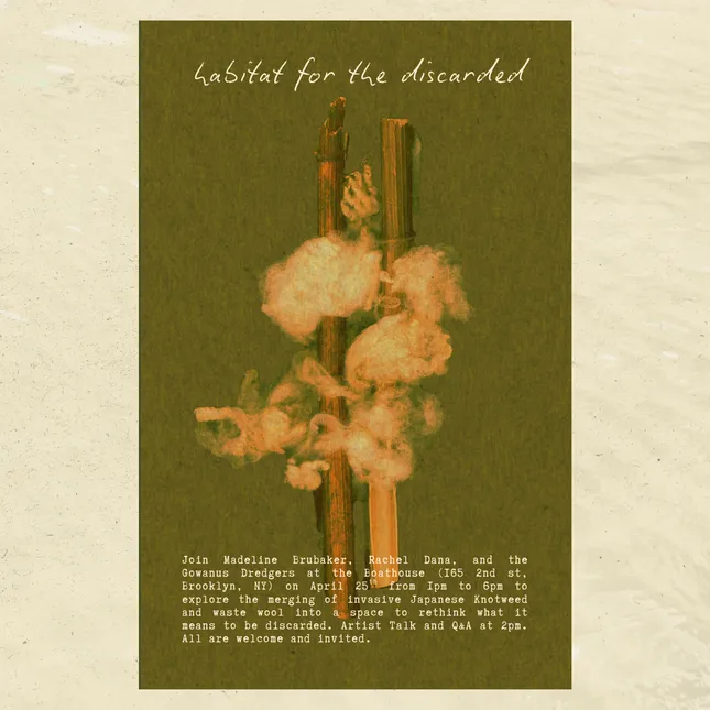 habitat for the discarded