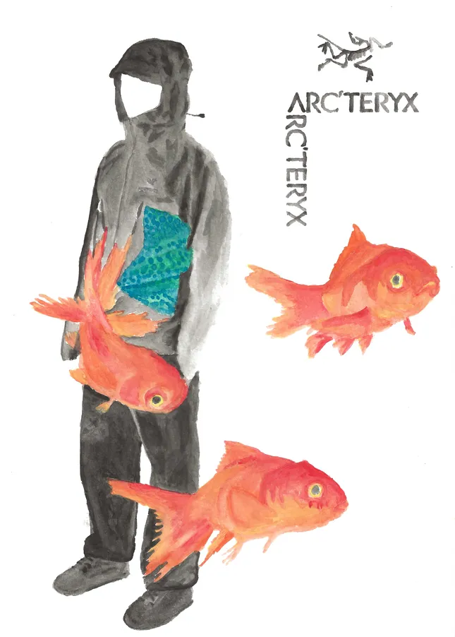 arcteryx brand/fish study 7x10 watercolor
