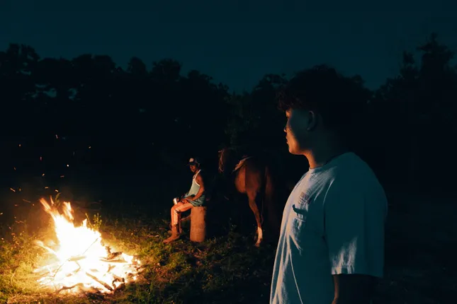 BTS Music video with horse 🐴