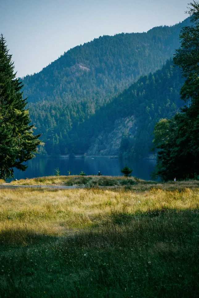Olympic Peninsula Landscape Editorial