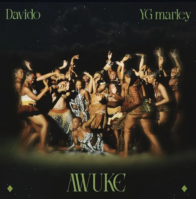 Awuke Davido fr YG Marley