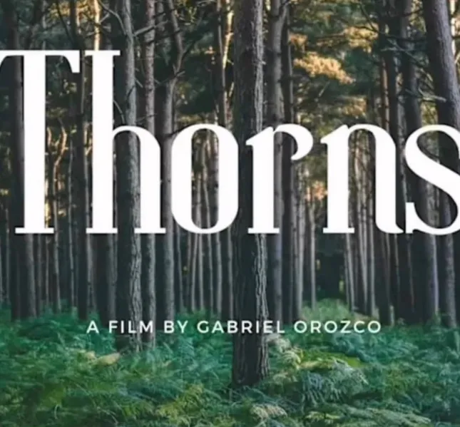 Thorns