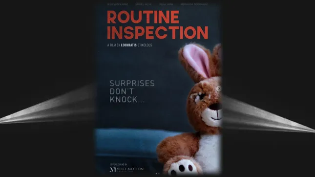 ROUTINE INSPECTION