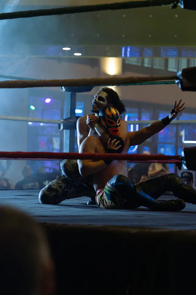 Lucha Voz