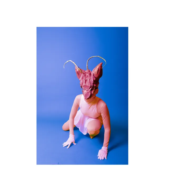 Project image