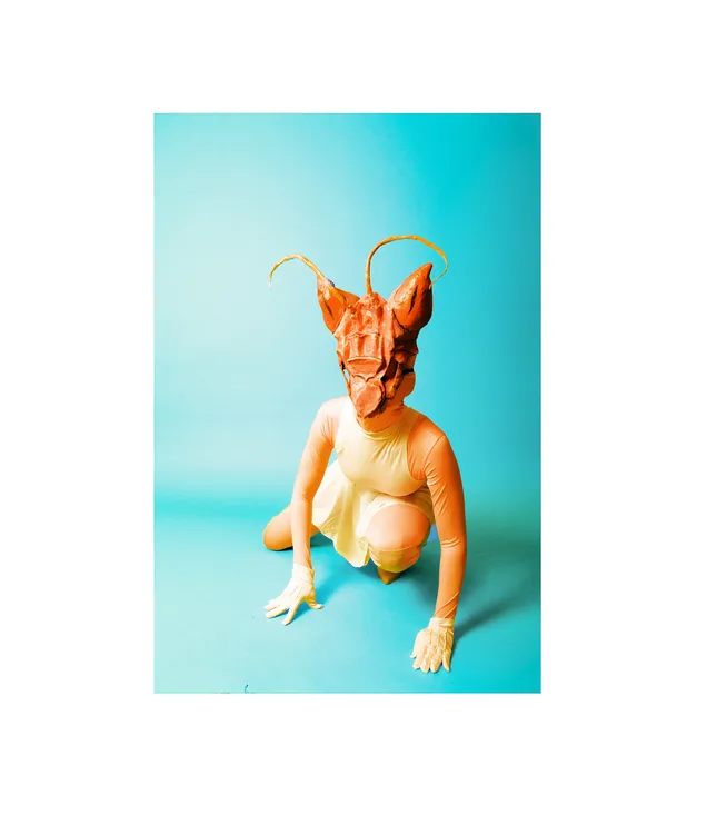 Project image