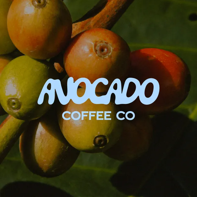 Avocado Coffee Co Brand Identity