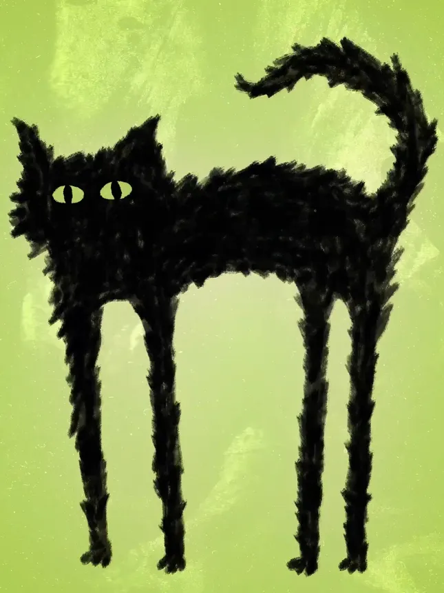 Black Cat Gif
