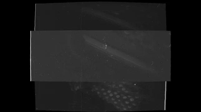 Video Work