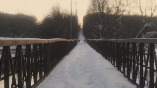 Cinematography Reel