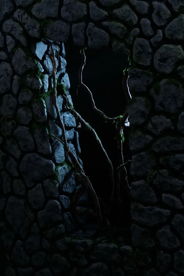 The Bonsai
