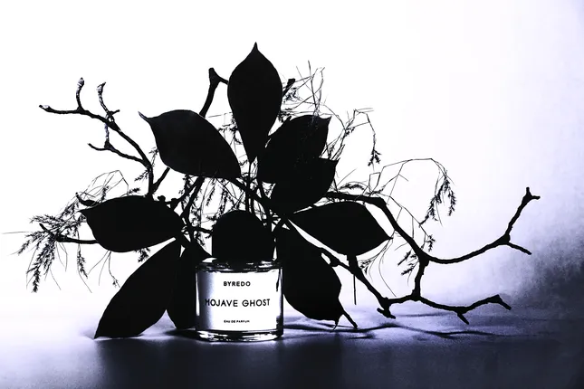 BYREDO