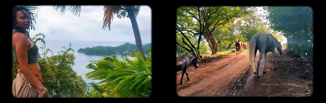 Glimpses of Tobago