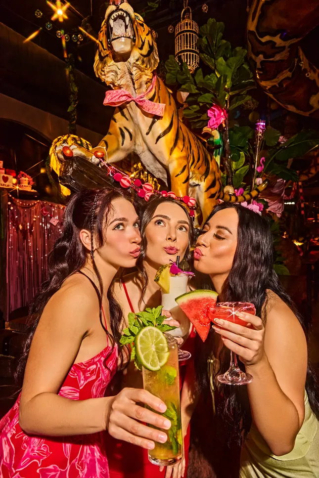 Shipwrecked Paradise Tiki Bar