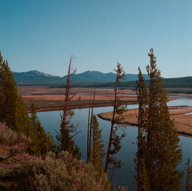Basin