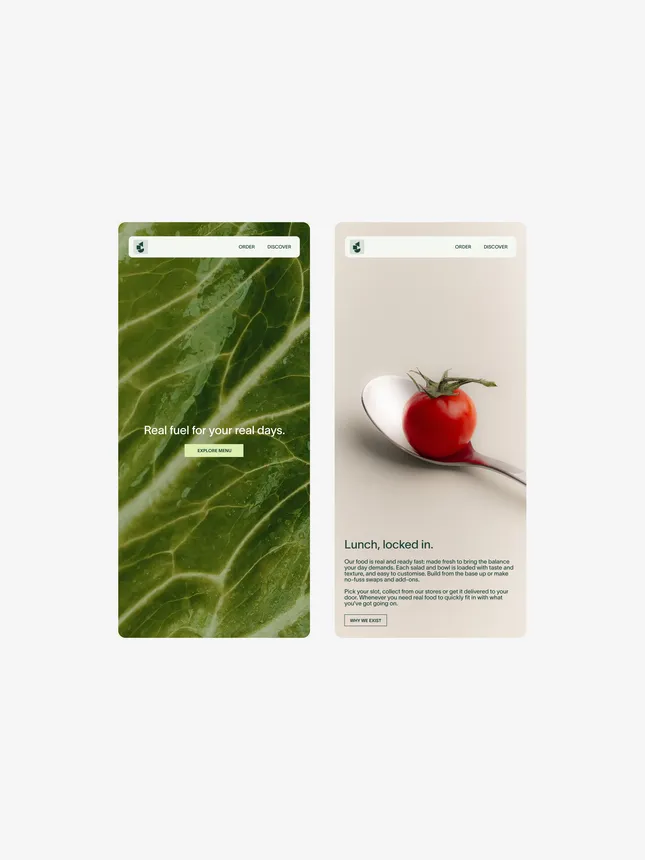 The Salad Project