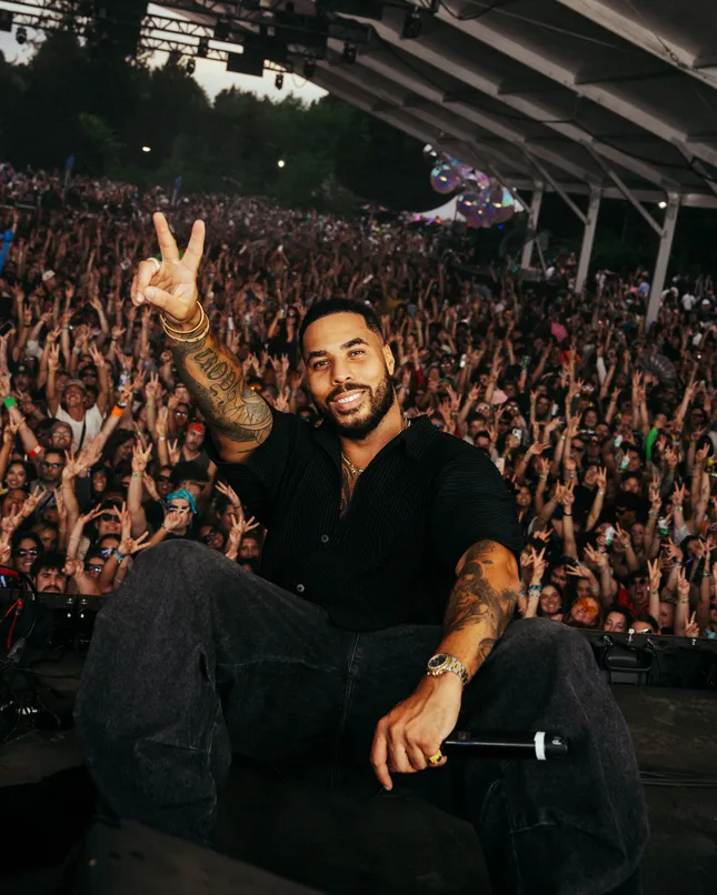 Troyboi - FVDED in the Park