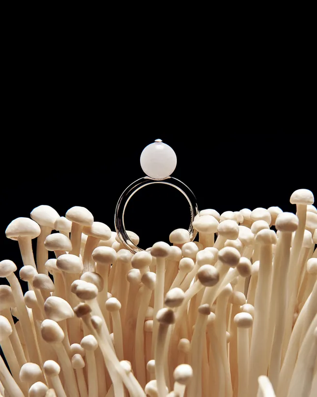 Moonswoon
