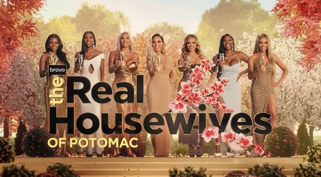 Real House Wives of Potomac Season 9 and Season 10