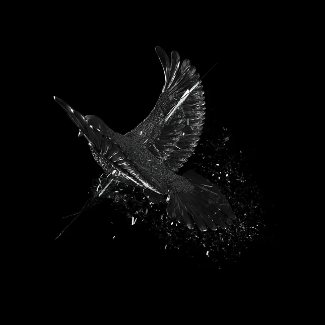 Schado ‘Dark Ones’