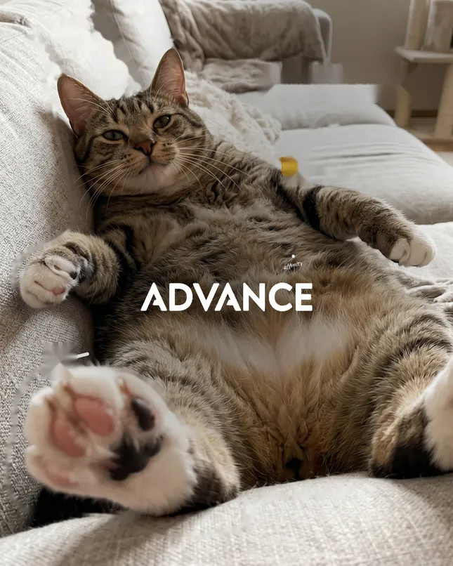 Advance France - Social Media + Influence