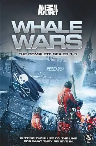 Whale Wars
