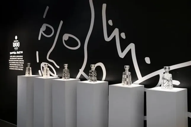 1800 Tequila x Shantell Martin