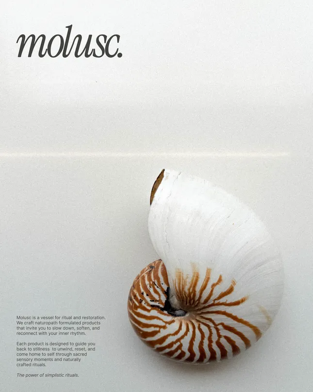 Mollusc Rituals branding