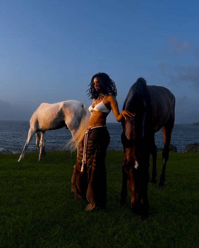 Healing With Horses Tobago